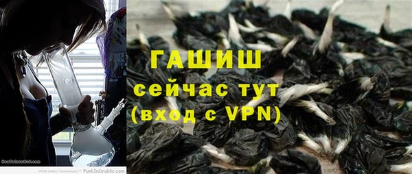 молекула духа Балахна
