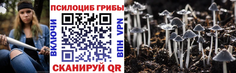 Псилоцибиновые грибы Cubensis  darknet официальный сайт  Борисоглебск 