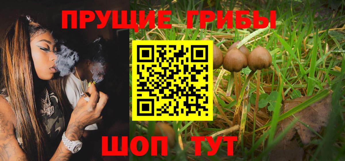Галлюциногенные грибы MAGIC MUSHROOMS Борисоглебск