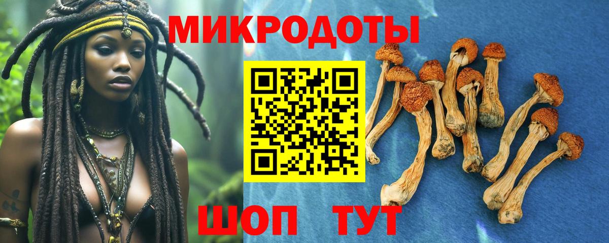 Псилоцибиновые грибы GOLDEN TEACHER  Вход с VPN  Борисоглебск  Галлюциногенные грибы мицелий 